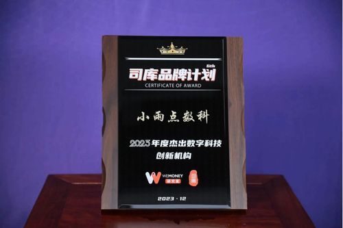 小雨點集團榮膺“年度杰出數(shù)字科技創(chuàng)新機構(gòu)”獎，數(shù)字技術(shù)賦能未來新篇章
